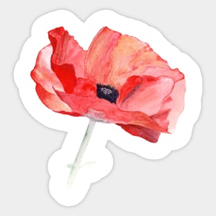 Poppy – summer is here Sticker